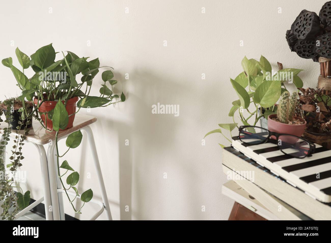 Primavera tempo ispirato decorazione casa utilizzando le piante domestiche per creare un sesso neutrale e rilassante spazio domestico Foto Stock