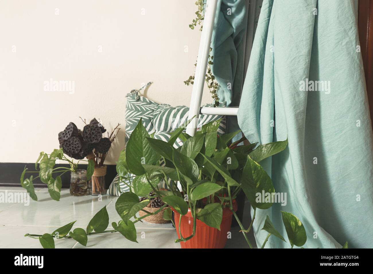 Primavera tempo ispirato decorazione casa utilizzando le piante domestiche per creare un sesso neutrale e rilassante spazio domestico Foto Stock