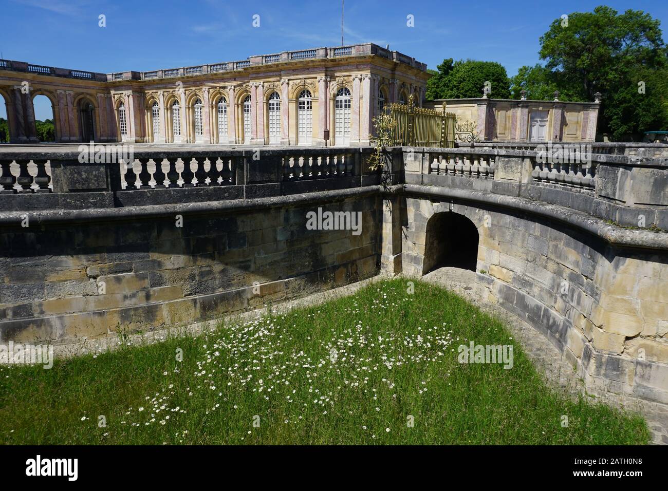 Vista laterale del castello di Versailles, Francia con le antiche mura in pietra e margherite bianche nel prato Foto Stock