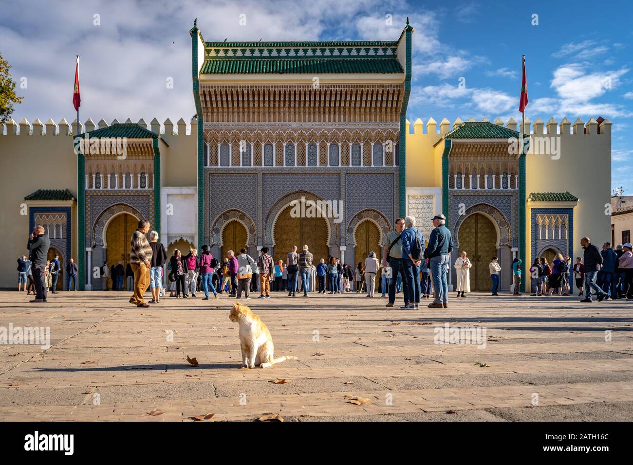 Fes, Marocco - Place des Alaouites - un luogo turistico popolare con un gatto in primo piano Foto Stock