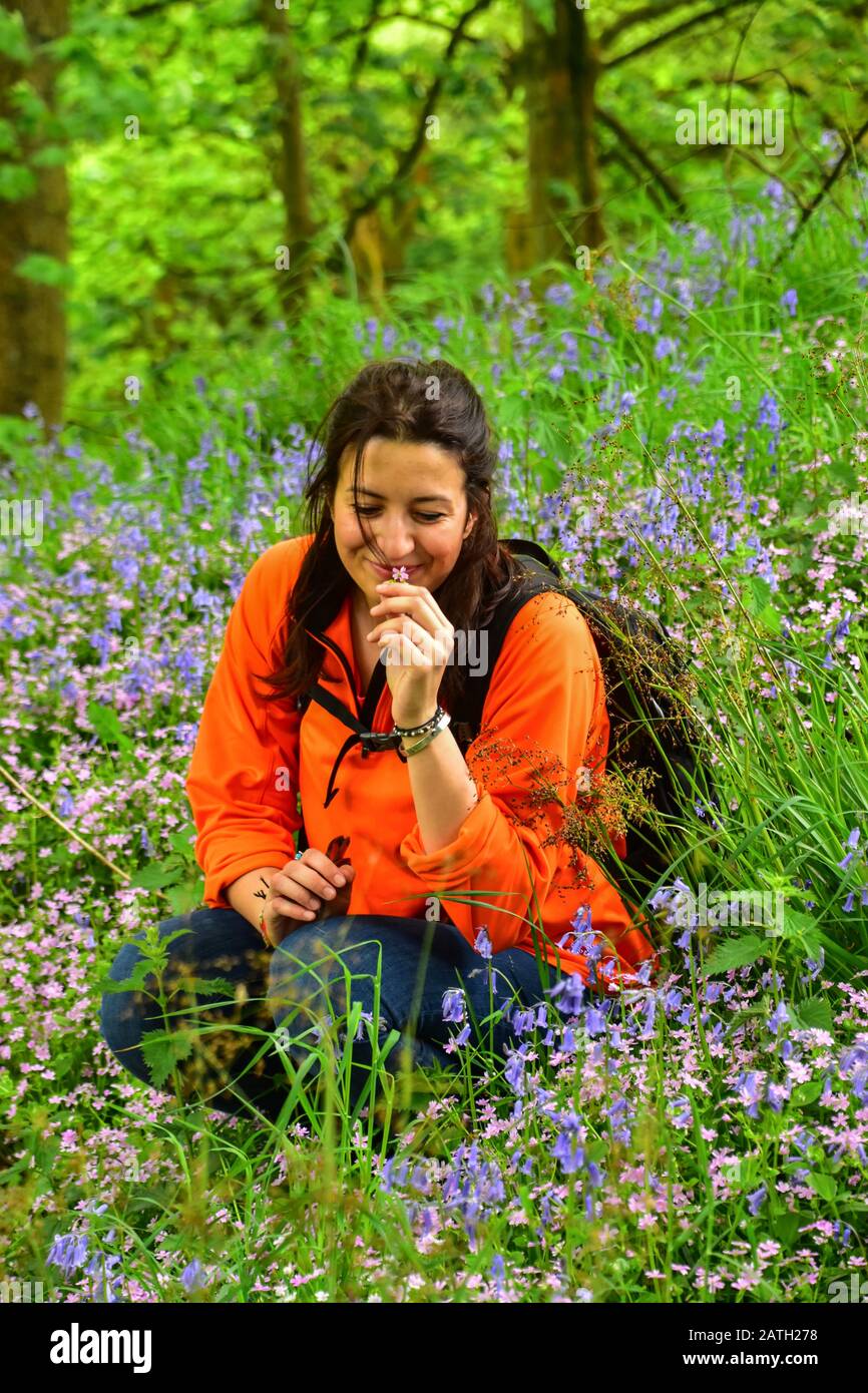 Ciao Bella, Bellezza Italiana Nei Bluebells, Hardcastle Crags, National Trust, Pennines, Hebden Bridge, West Yorkshire Foto Stock