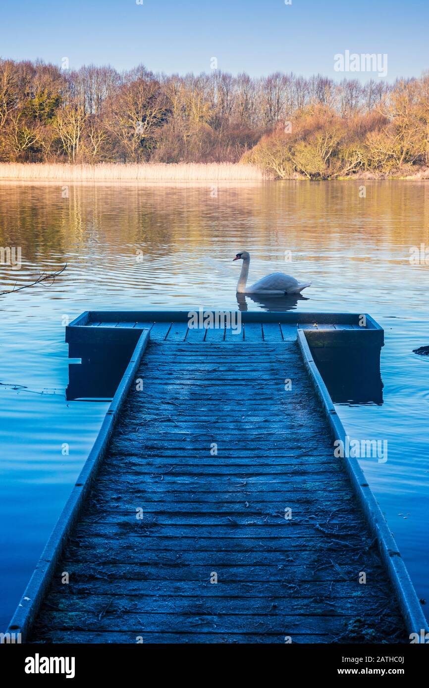Una fredda e soleggiata mattinata invernale su Coate Water a Swindon. Foto Stock