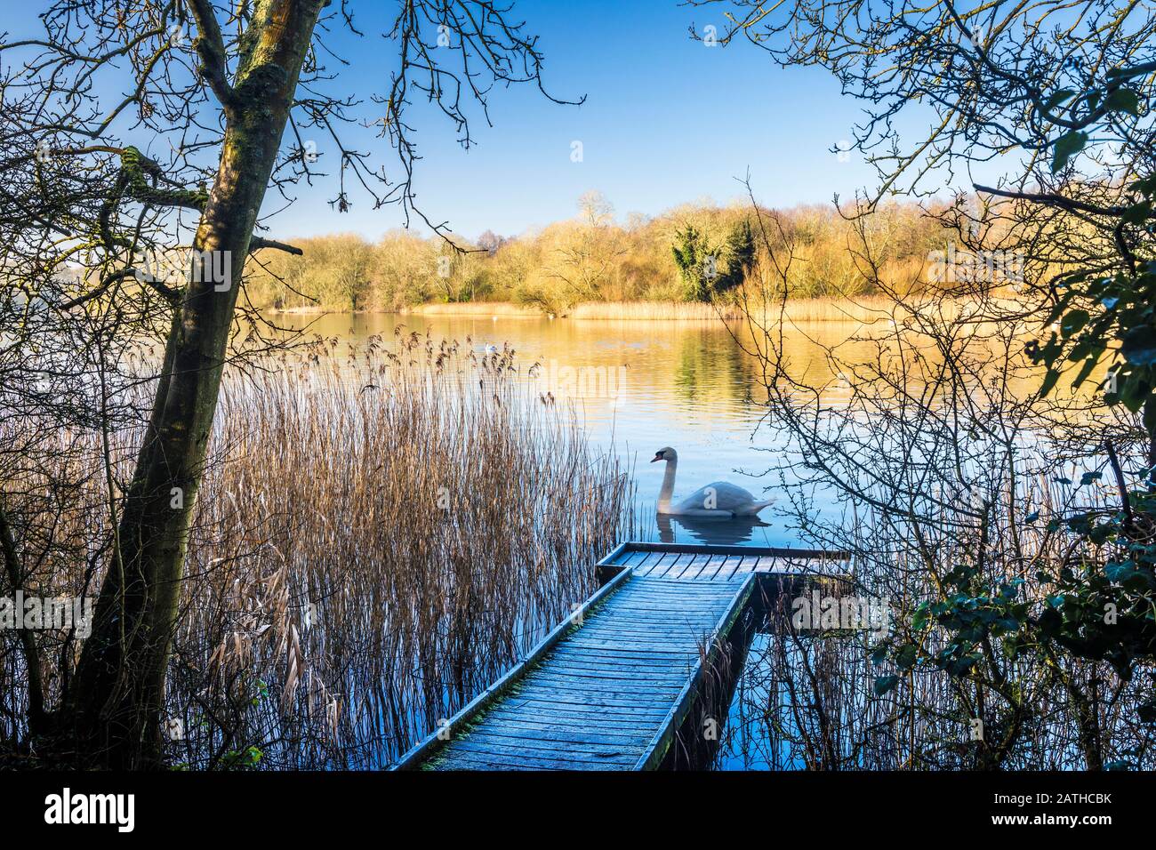 Una fredda e soleggiata mattinata invernale su Coate Water a Swindon. Foto Stock