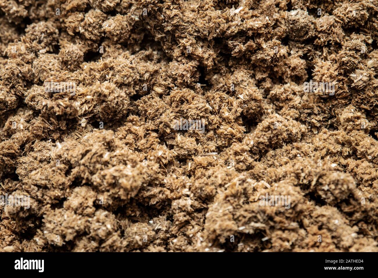 Substrato organico di base per coltivazione di funghi, terreno di crescita fungicola, dettagli Foto Stock