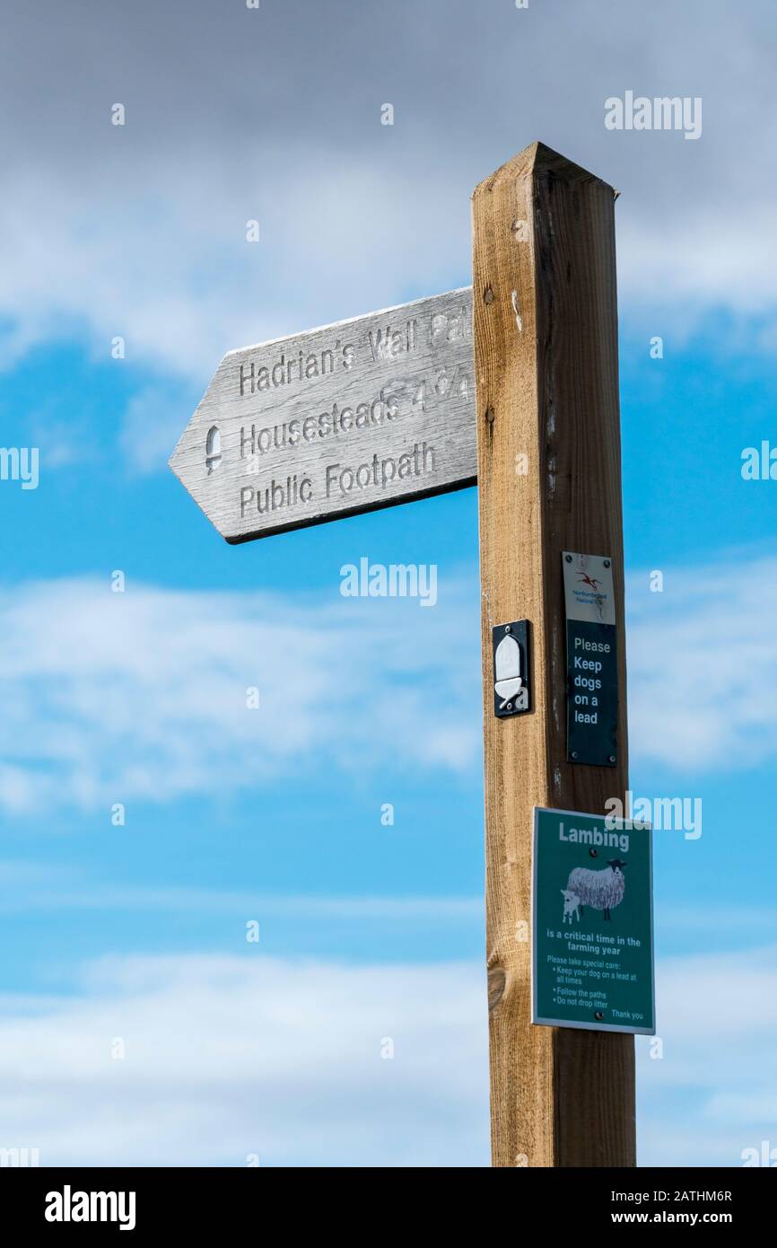 Cartello indicando il percorso del Vallo di Adriano percorso nei pressi di Housesteads, parco nazionale di Northumberland, Inghilterra Foto Stock