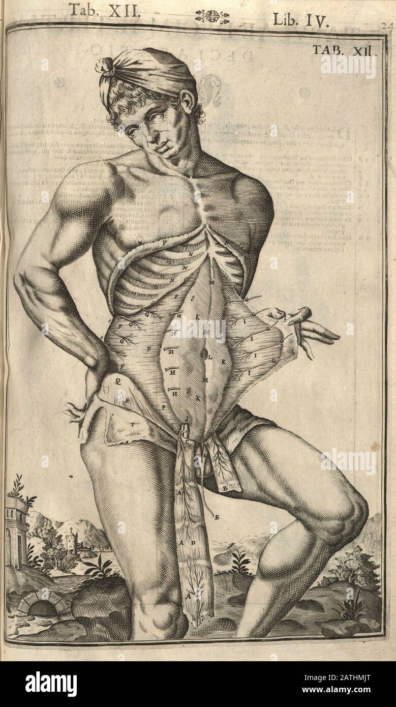 Il corpo umano De humani corporis produce libri decem, 1627. Foto Stock