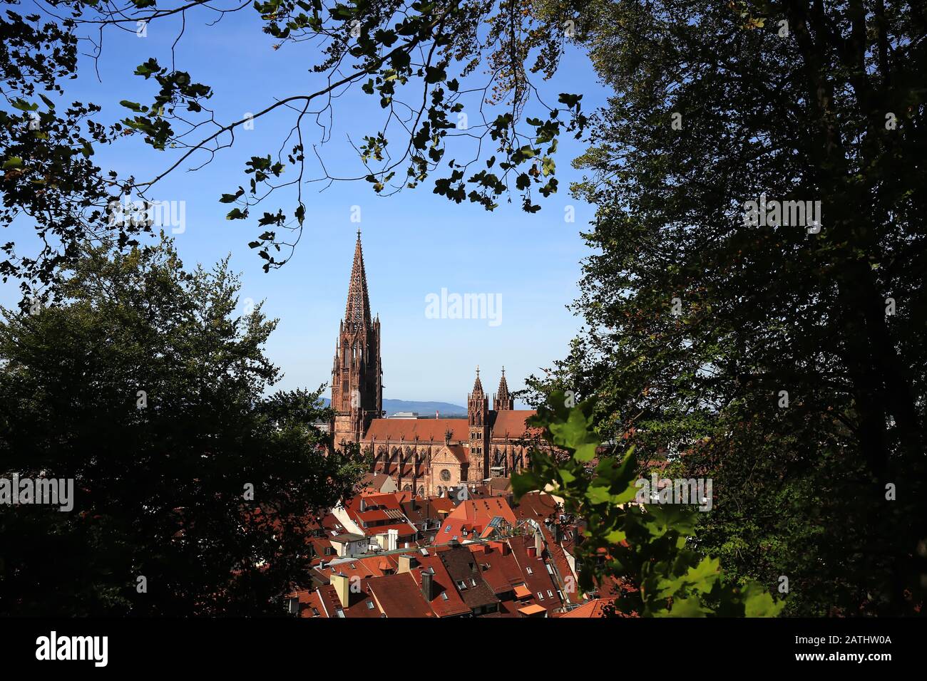Münster Freiburg è una città tedesca con molte attrazioni storiche Foto Stock