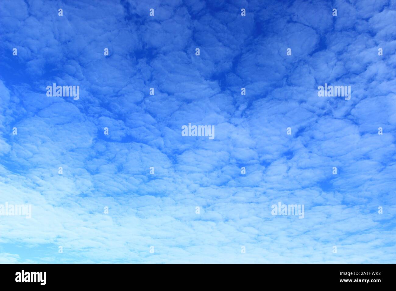 Cielo blu con belle nuvole meteo Foto Stock