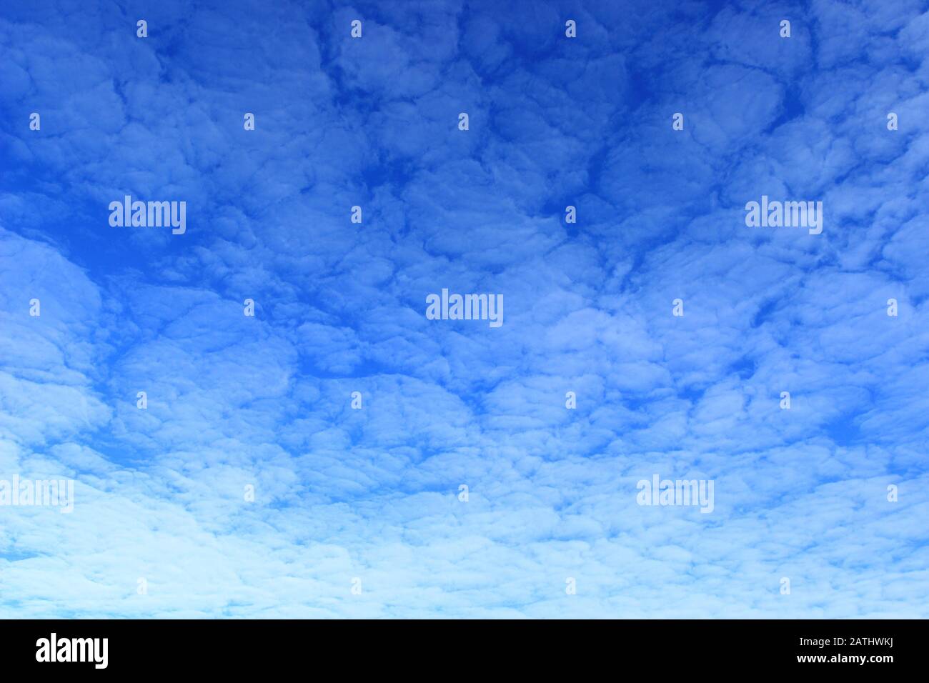 Cielo blu con belle nuvole meteo Foto Stock