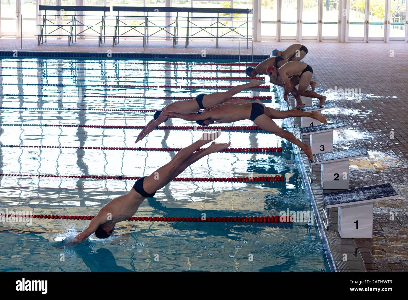 Nuotatori che si tuffano in piscina Foto Stock