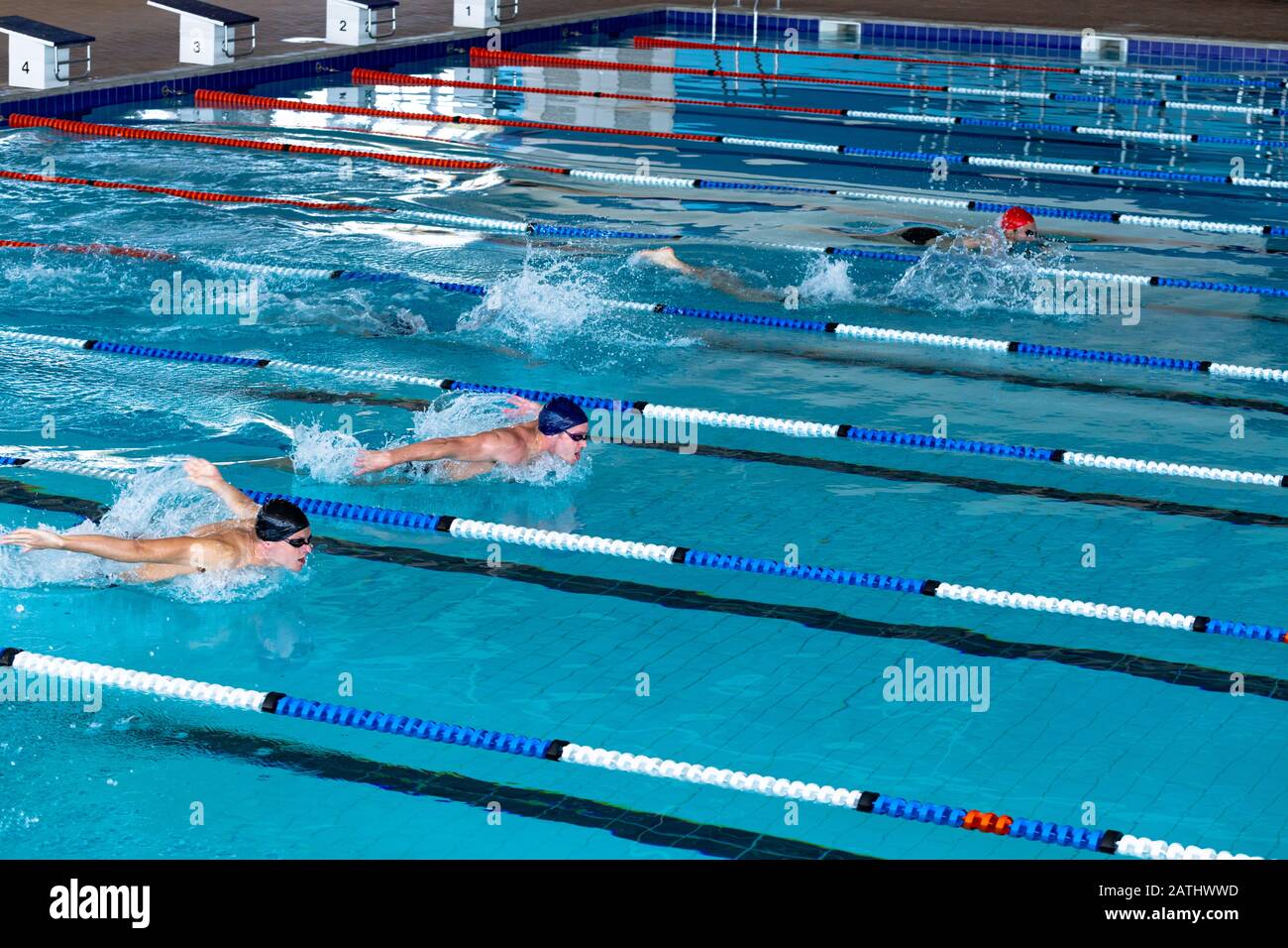 Nuotatori in piscina Foto Stock