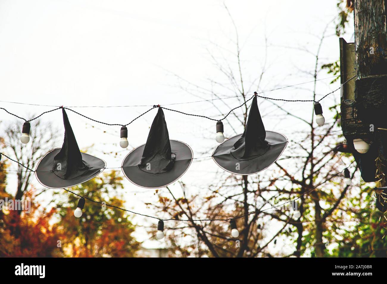 Streghe cappelli come decorazione sulla strada con lanterne. Il concetto di Halloween, occultismo e spiritualismo. Foto Stock