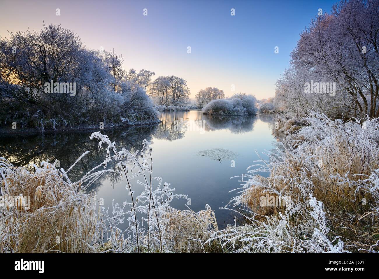 Paesaggio fluviale in inverno presso il fiume Eder, alberi con trasformata per forte gradiente frost, naturale il letto del fiume, vicino a Bad Wildungen, Hesse, Germania Foto Stock