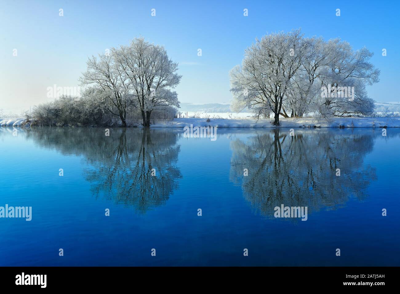 Fredda giornata invernale presso il fiume Saale, alberi coperti di ghiaccio e neve, acqua riflessione, il parco di natura inferiore valle Saale, Sassonia-Anhalt, Germania Foto Stock