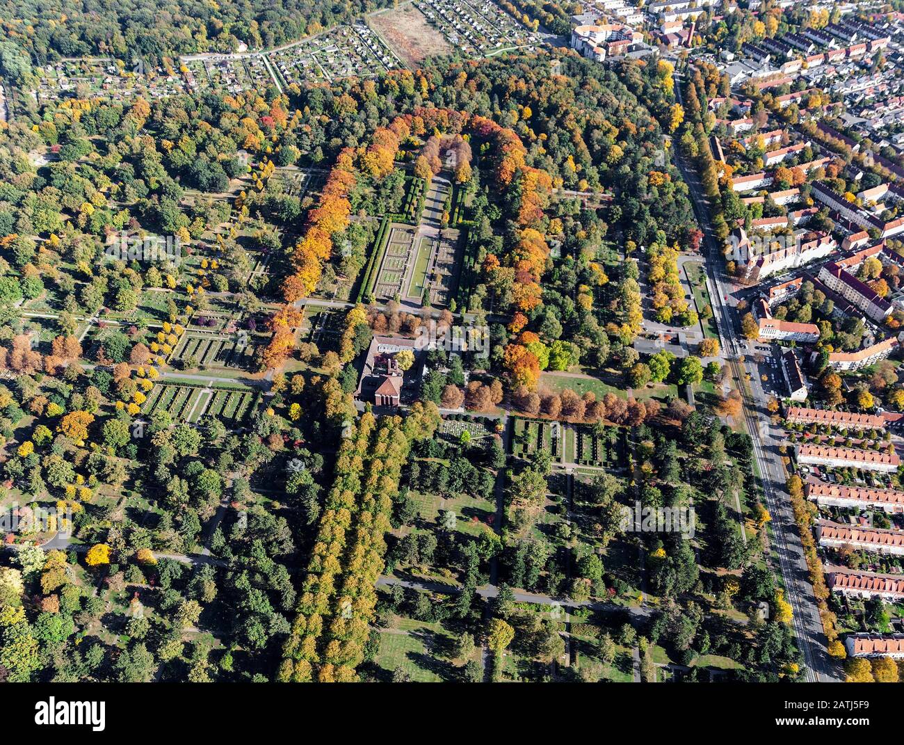 Cimitero cittadino Seelhorst, viale centrale del linden in autunno, Hannover, Bassa Sassonia, Germania Foto Stock