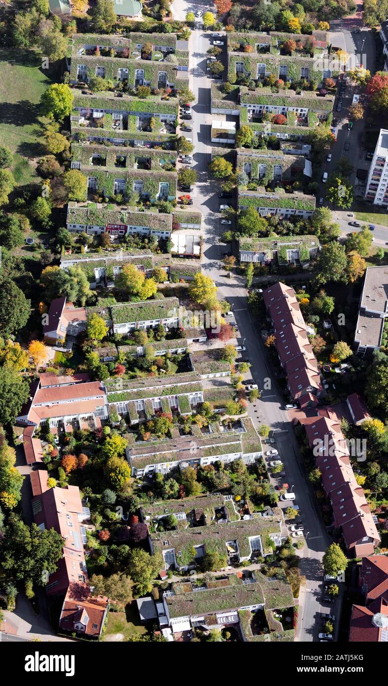Insediamento di tetti di erba Laher Wiesen, progetto di costruzione di gruppi ecologici, Bothfeld, Hannover, Bassa Sassonia, Germania Foto Stock