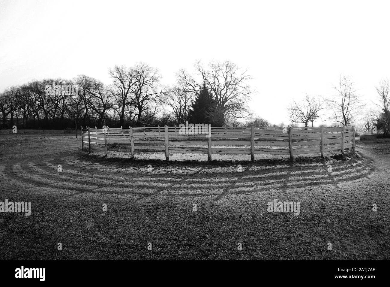 Penna rotonda per l'esercizio a cavallo e l'allenamento sulla frosty mattina wintertime all'alba. Contro il sole del mattino Foto Stock