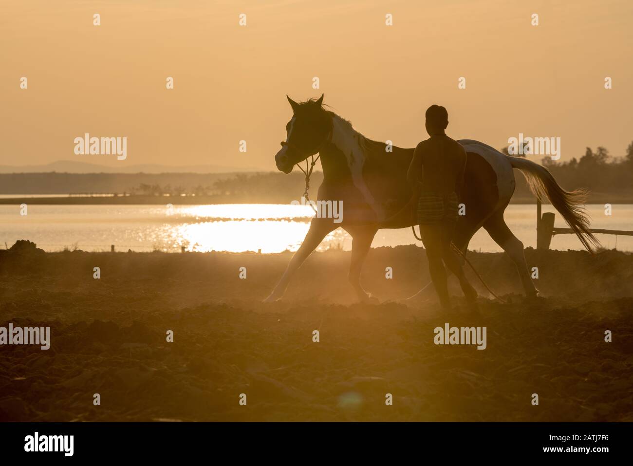 Allenamento a cavallo all'aperto durante il tramonto Foto Stock