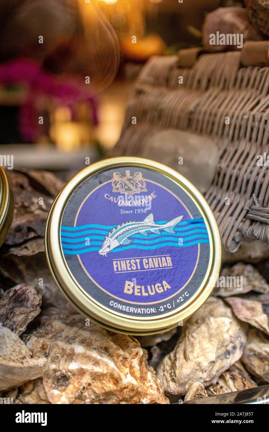 Illustrazione creativa del logo Apple Mac sullo schermo di un MacBook Pro Foto Stock