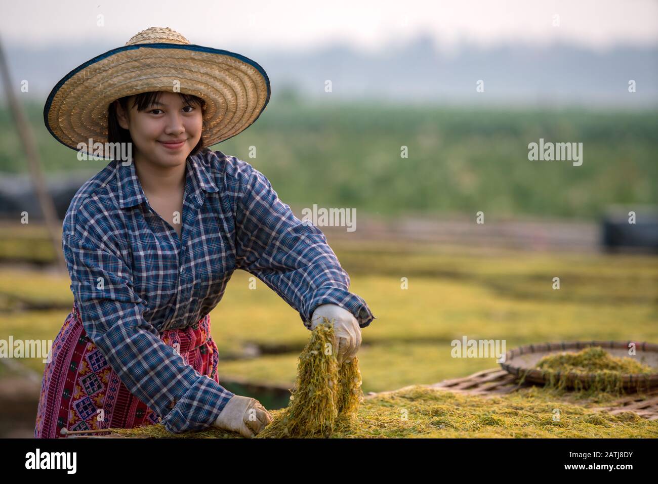 I coltivatori thailandesi coltivano tabacco lascia sorridere felicemente con i prodotti che hanno nel distretto di Tha Bo, provincia di Nong Khai, Tailandia. Foto Stock