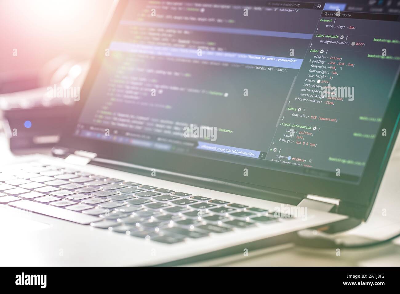 Lo sviluppo di programmazione e tecnologie di codifica. Sito web design. Programmatore pagine lavora in un software di sviluppare società office. Foto Stock