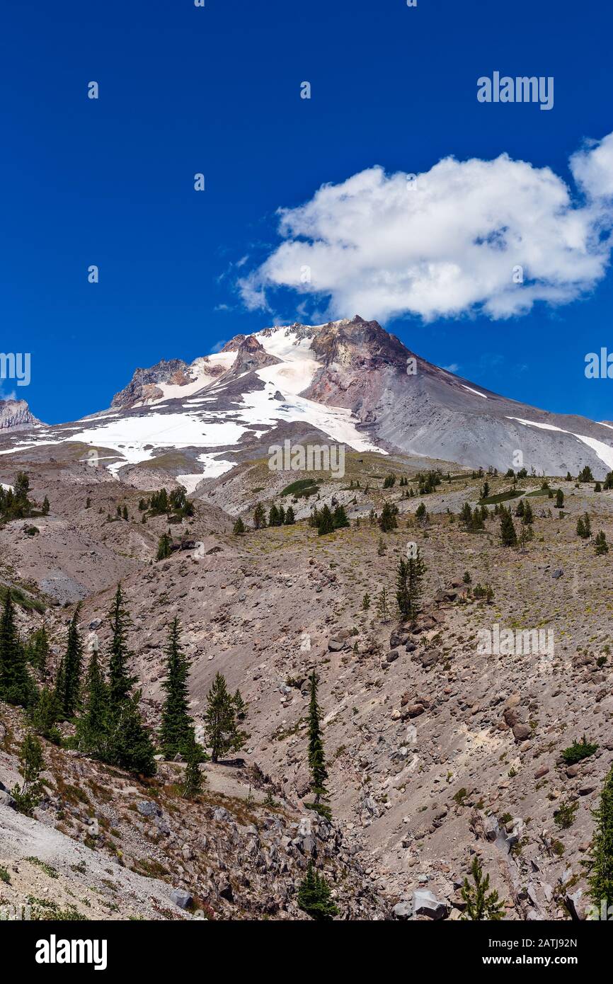 Vista panoramica estiva del Monte Hood, Oregon Foto Stock