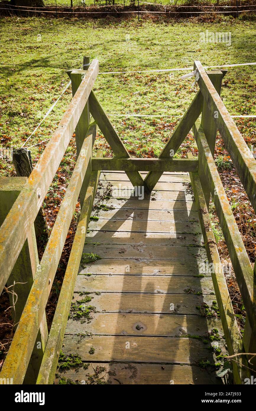 Un ingresso a forma di V detesta bovini e cavalli cercando di attraversare questo ponte pedonale di legno su un sentiero rurale attraverso i campi nel Witlshire Inghilterra UK Foto Stock