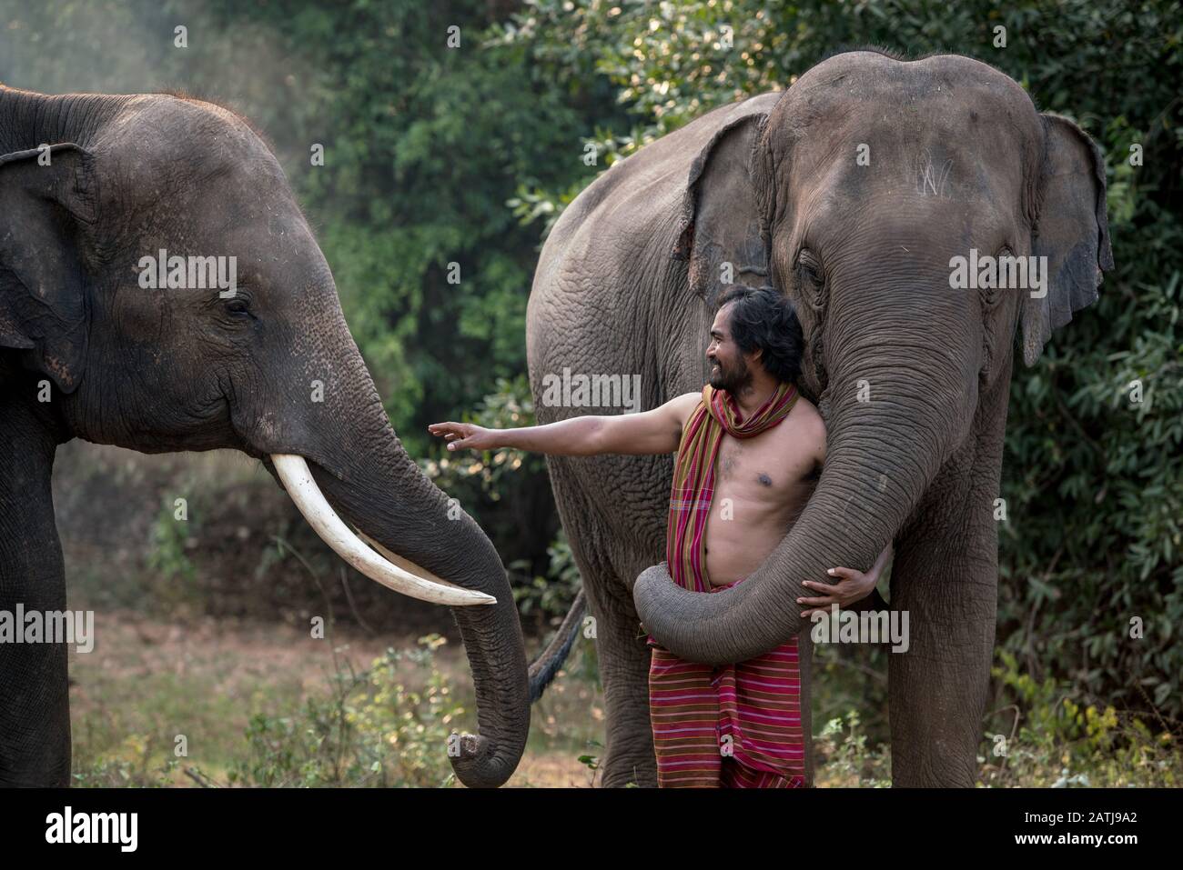 Thai Mahout e elefanti godendo nella foresta questo è lo stile di vita della gente tailandese a Chang Village. Foto Stock