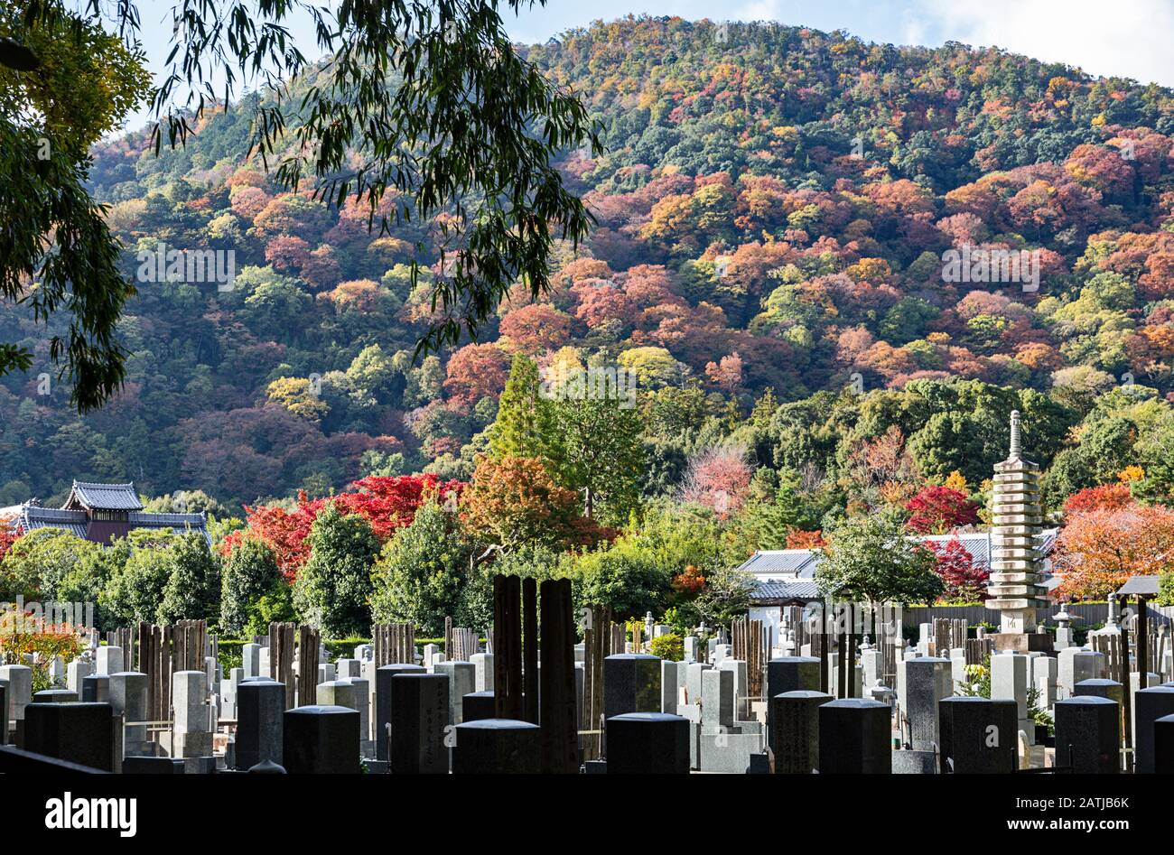 Arashiyama cimitero Foto Stock