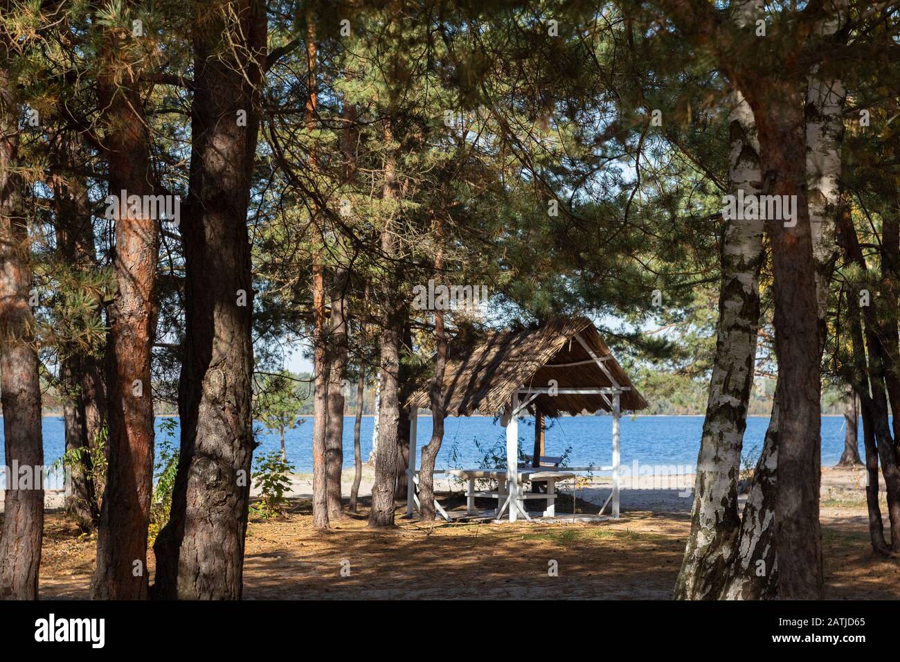 Gazebo con tavolo e panche sul lago Foto Stock