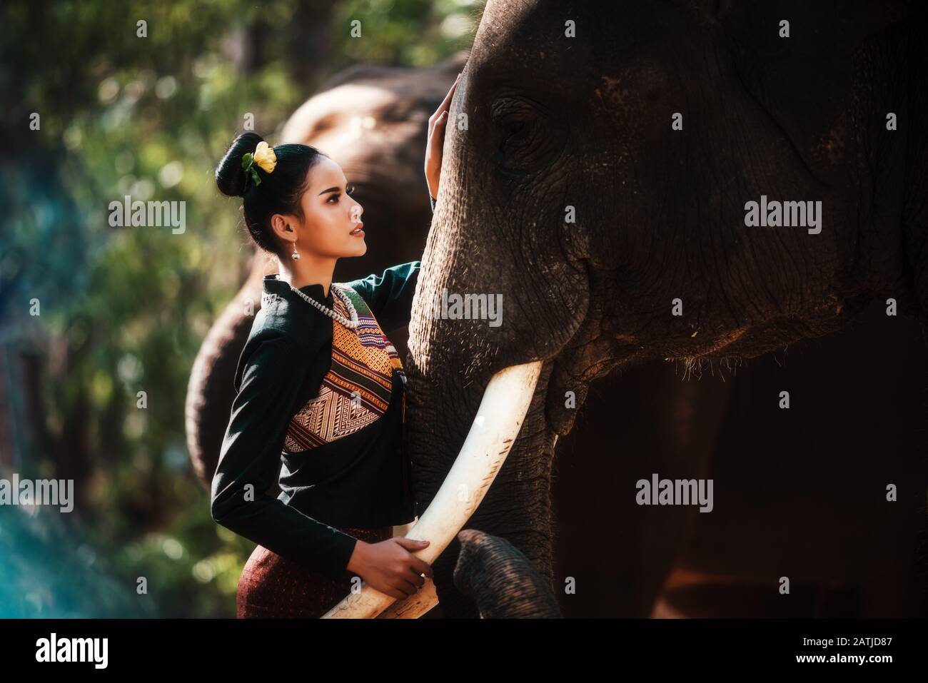 Thailandia, Bella donna tailandese, e l'elefante nella foresta di indossare in abito tradizionale Foto Stock