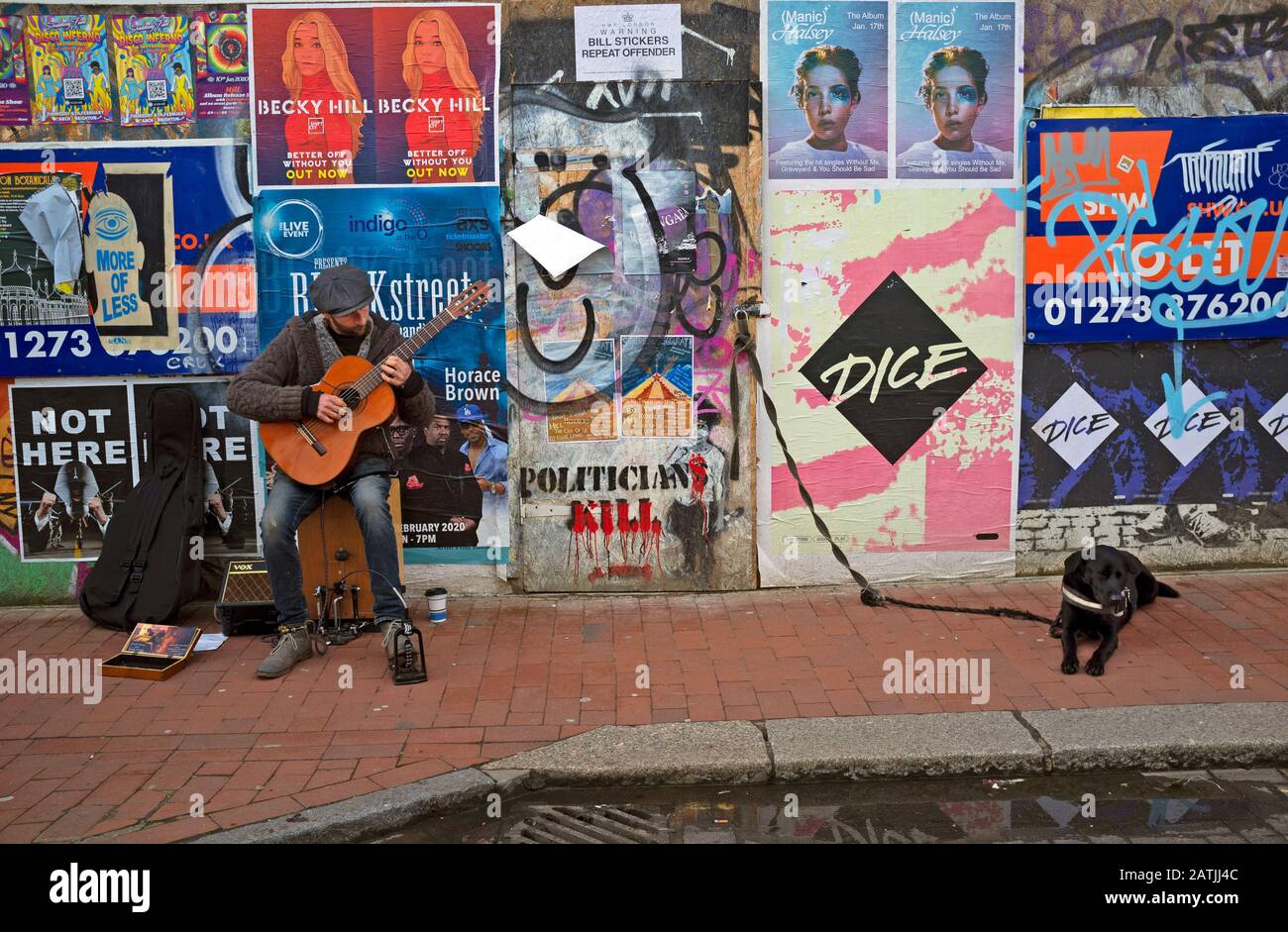 Un busker e il suo cane nella zona di Laine Nord di Brighton Foto Stock