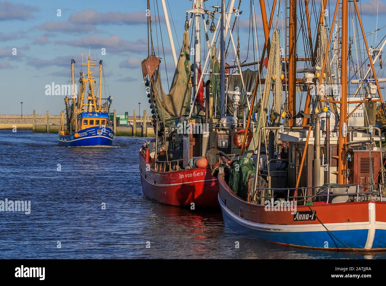 Granchio tagliente porto Neuharlingersiel sul Mare del Nord / Germania. Foto Stock