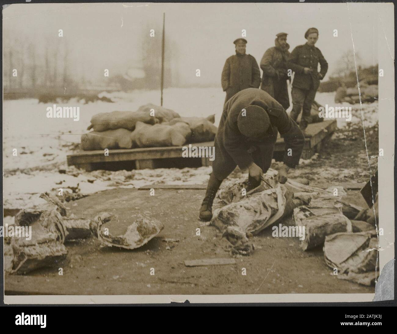 Il fronte occidentale britannico in Francia - come Tommy è alimentato descrizione: Porzionamento della carne in una discarica stradale Annotazione: Il cibo dei soldati britannici. Un soldato ossa la carne di un animale in un negozio lungo la strada Data: {1914-1918} luogo: Francia Parole Chiave: Prima guerra mondiale, fronti, soldati, cibo Foto Stock