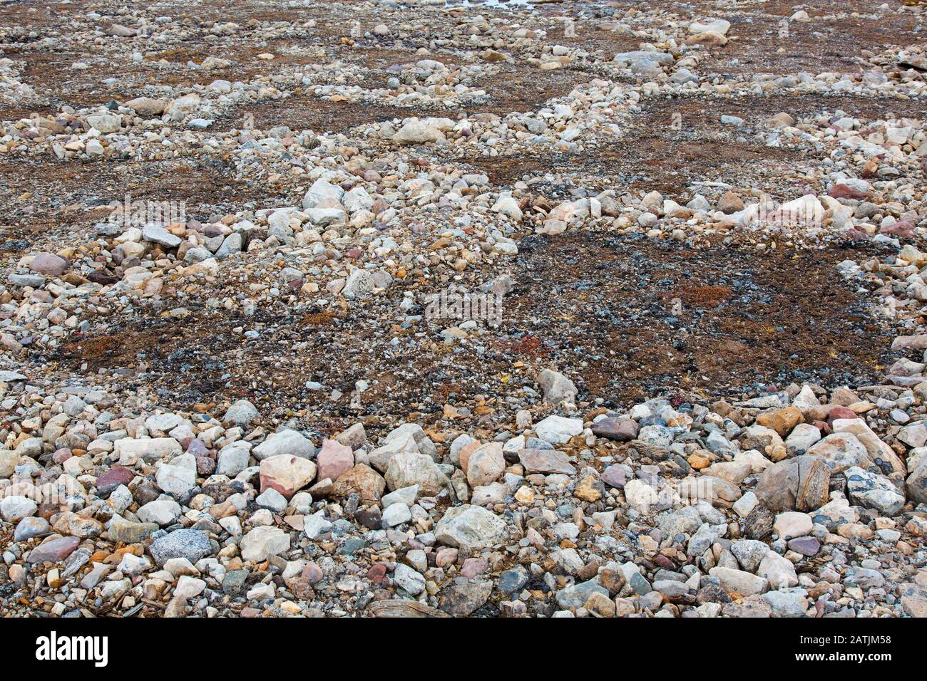 Parzialmente fuso e crollato lithalsas - tumuli pesantati trovati in permafrost - strutture circumulari di sinistra sulla tundra, Arcipelago Svalbard, Norvegia Foto Stock