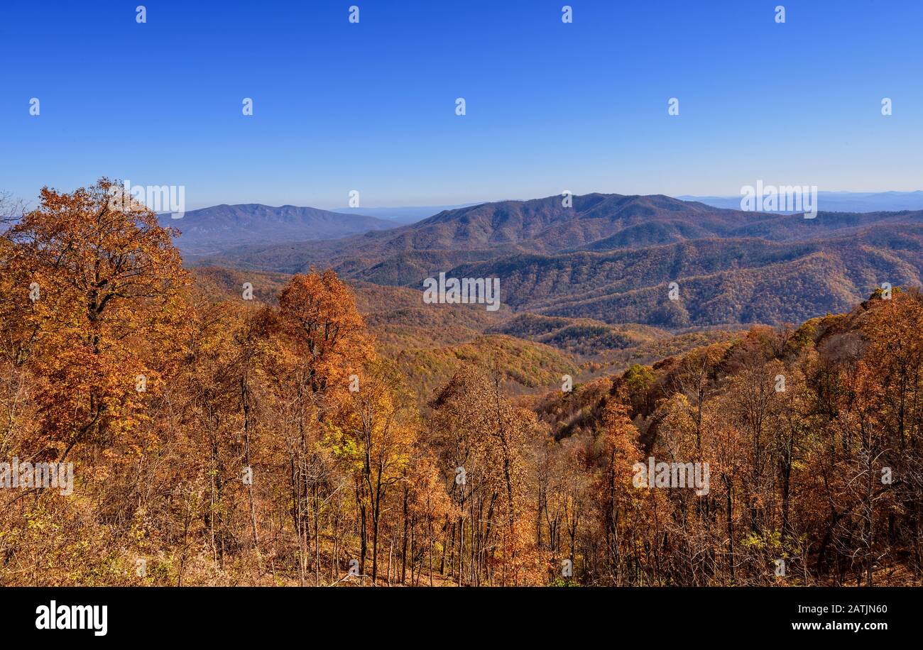Colori autunnali e le numerose creste delle Blue Ridge Mountains e Smoky Mountains nel North Carolina Foto Stock