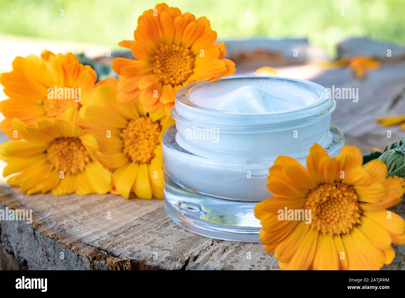 Crema per la cura del corpo con calendula. Fiori freschi di calendula arancione su sfondo di legno in natura. Crema cosmetica per la pulizia della pelle con calend Foto Stock