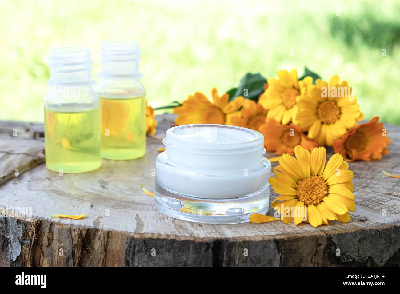 Crema nutriente con estratto di calendula con fiori di calendula freschi su sfondo ligneo in natura. Dermatologia Medica. Foto Stock