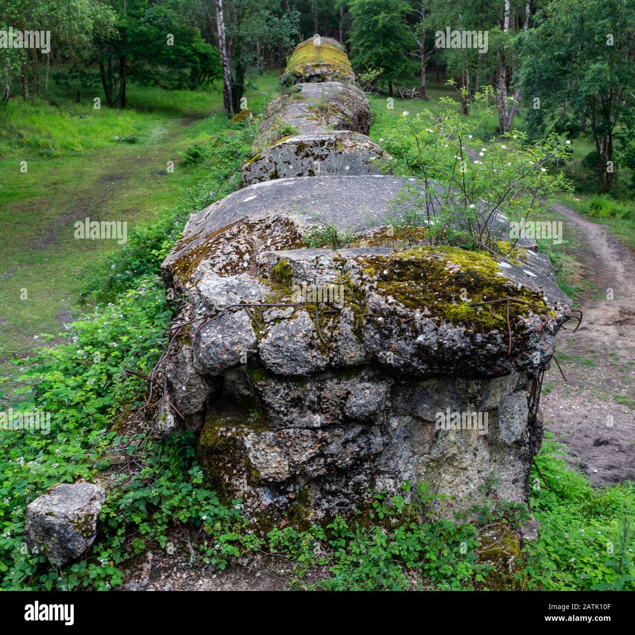 Il Muro Atlantico Hankley Comune Surrey Inghilterra Canadese Royal E. Foto Stock