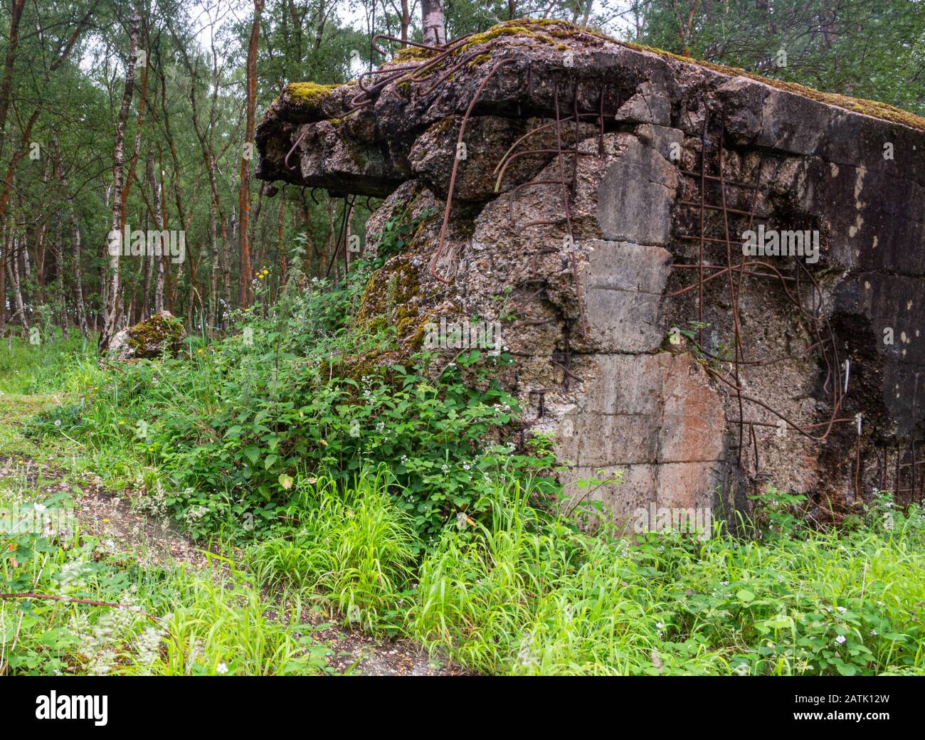 Il Muro Atlantico Hankley Comune Surrey Inghilterra Canadese Royal E. Foto Stock