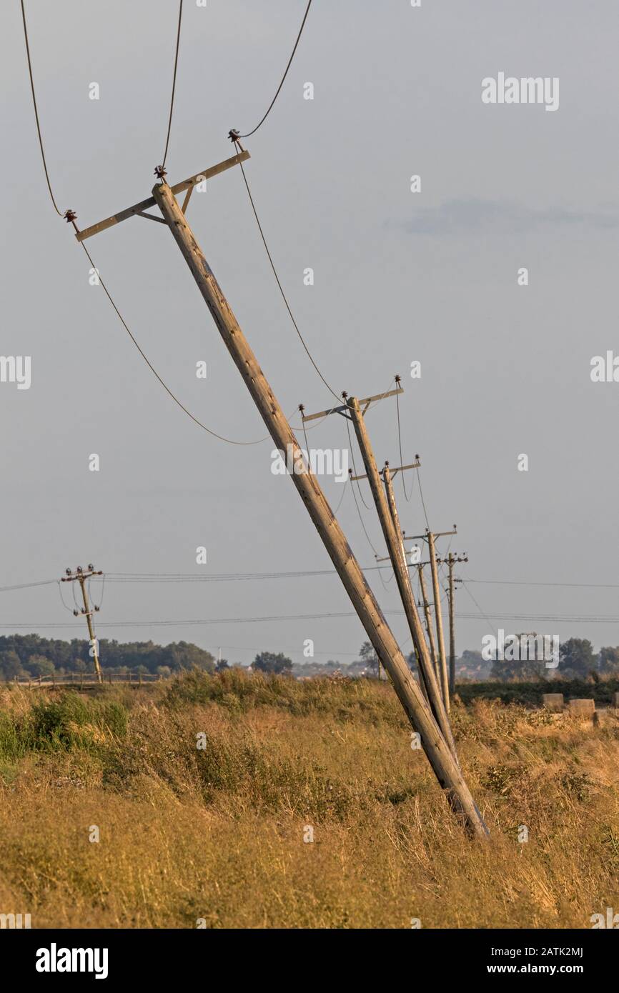Pali del telegrafo pendente, nei Fens, vicino Haddenham, Cambridgeshire, Inghilterra Foto Stock