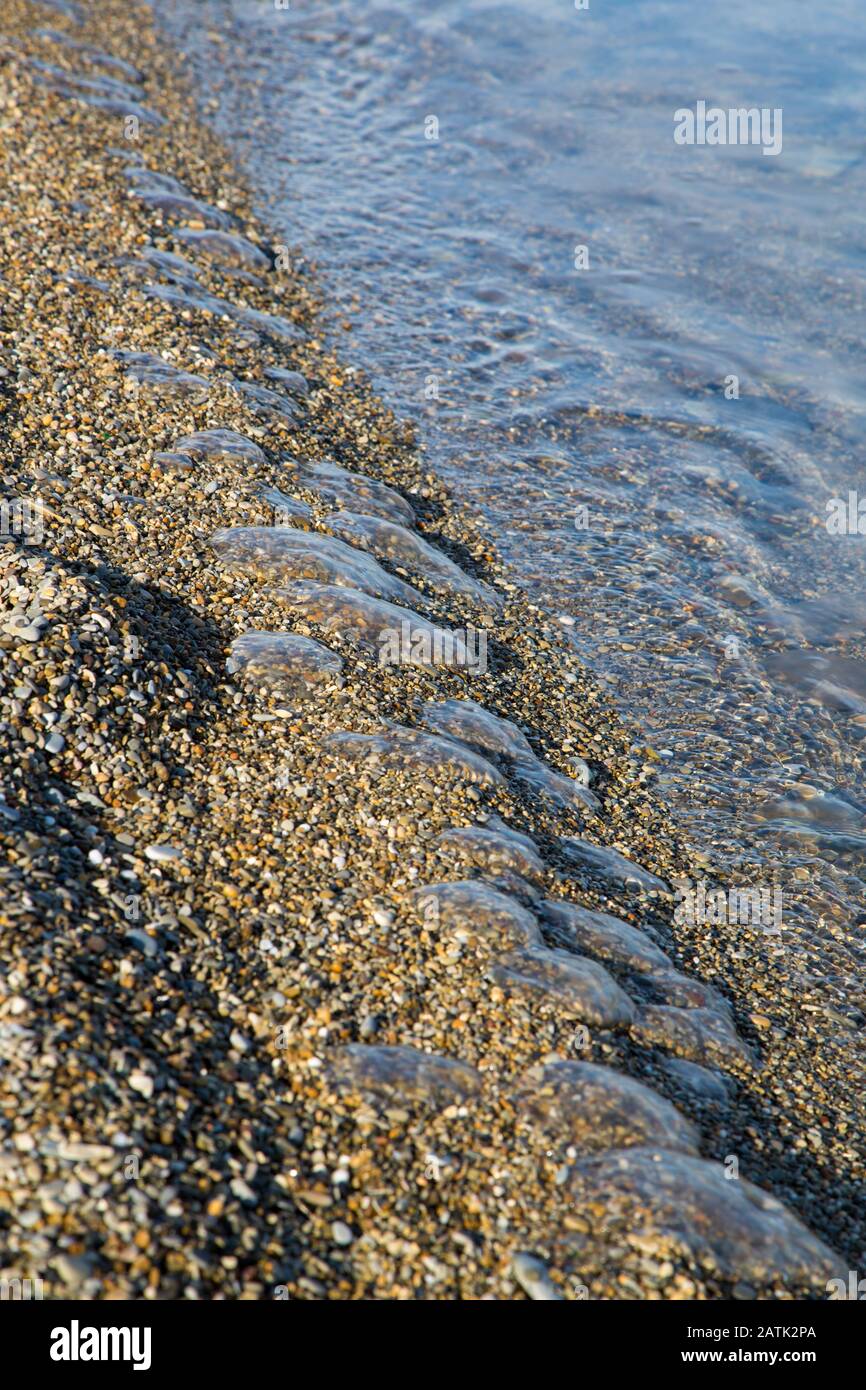 Molti piccoli meduse morti glisten sul bordo del surf su una spiaggia di ciottoli di piccoli ciottoli. Foto Stock