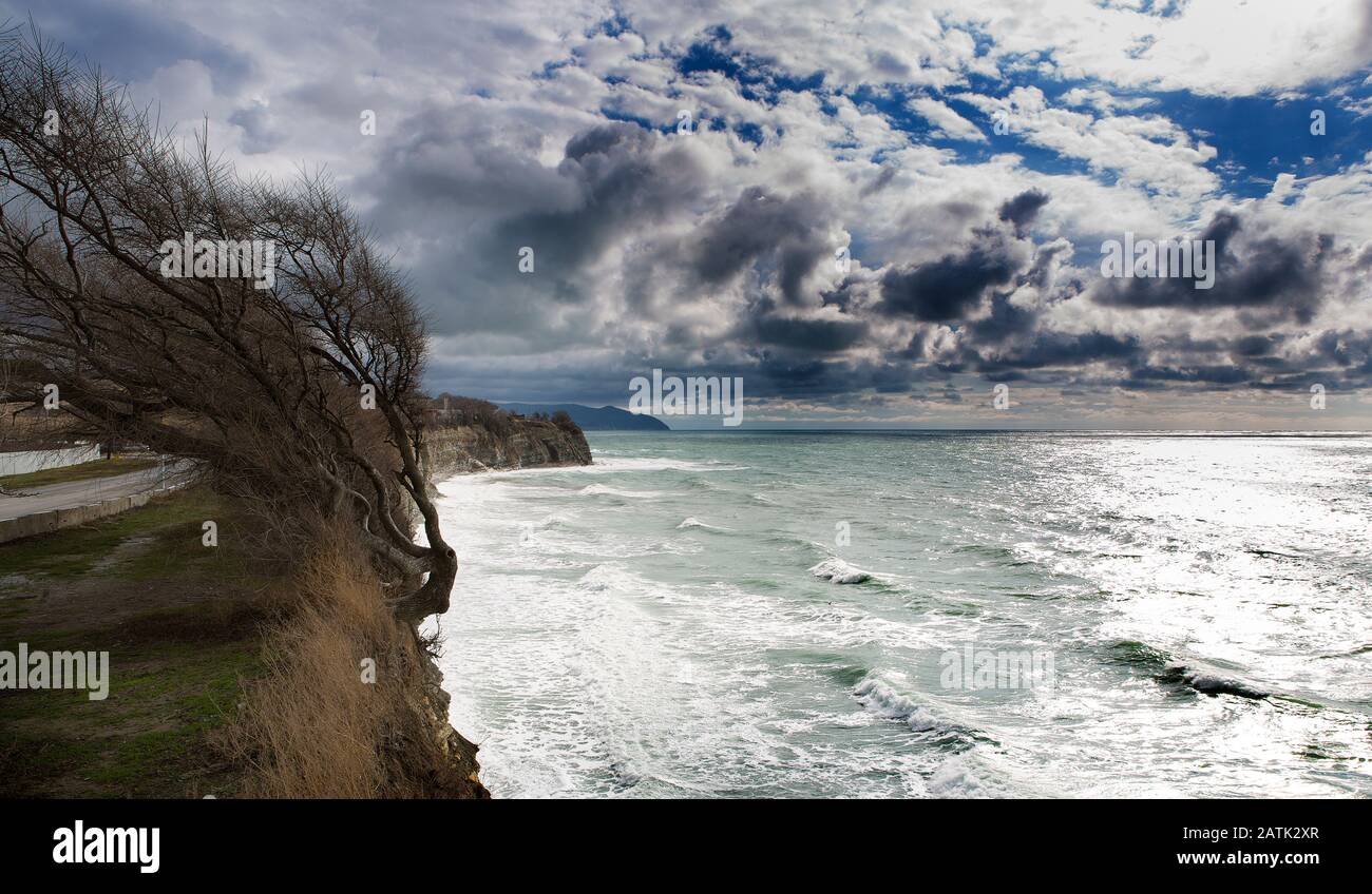Mar Nero. Costa rocciosa in autunno, in una tempesta. Le onde corrono sulla spiaggia di ghiaia. Sulla roccia, un albero vento-piegato senza foglie. Gelendzhik. Foto Stock