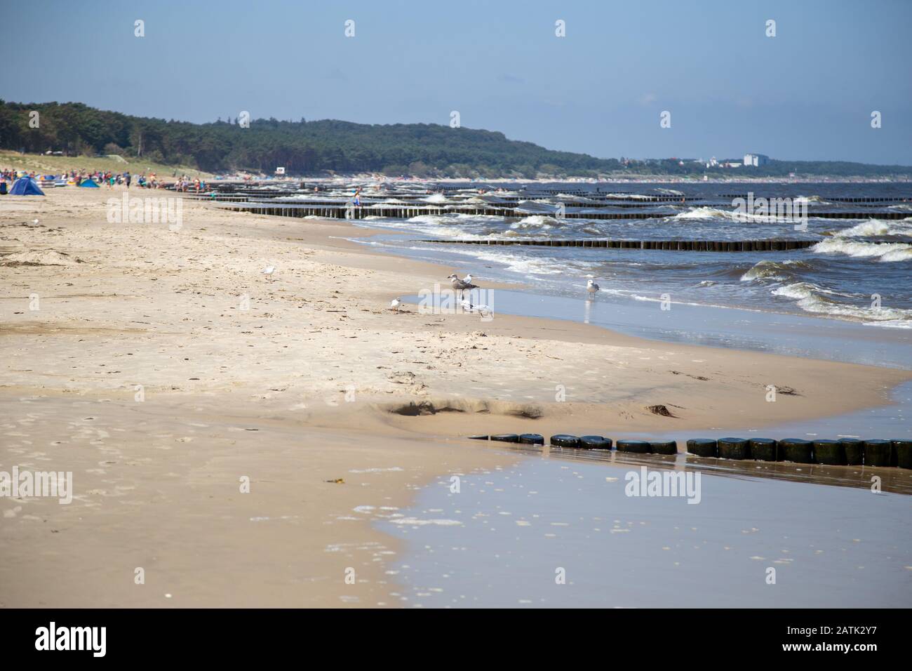 La spiaggia di Zempin in una giornata di sole senza cielo nuvole Foto Stock