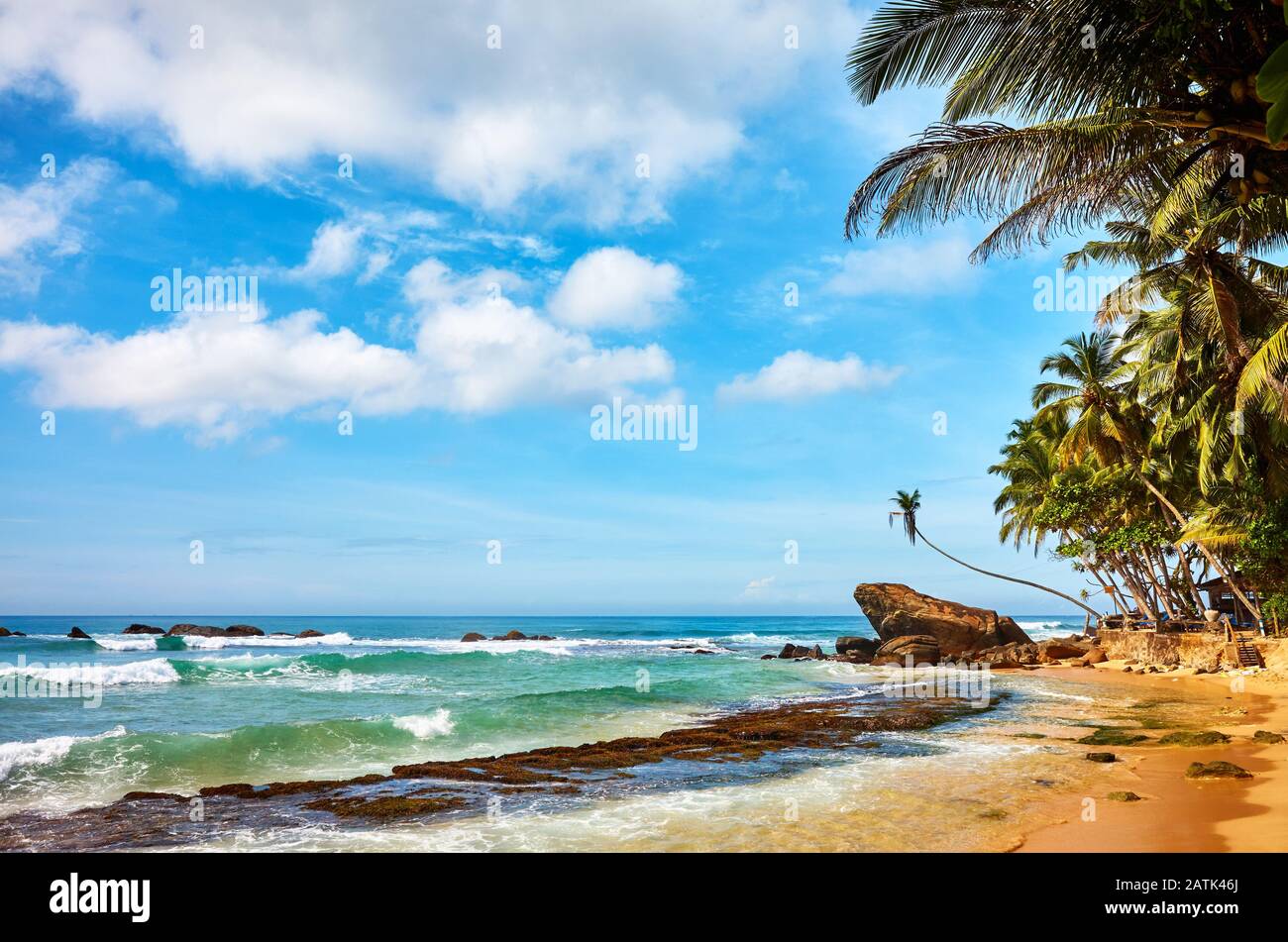 Tropical Beach, vacanze estive concetto, Sri Lanka. Foto Stock