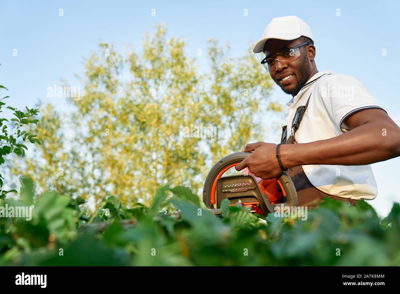 Sorridente giardiniere africano in occhiali protettivi potando cespugli verdi con grande tagliasiepi. Giovane felice in uniforme speciale durante il processo di lavorazione dell aria fresca Foto stock...