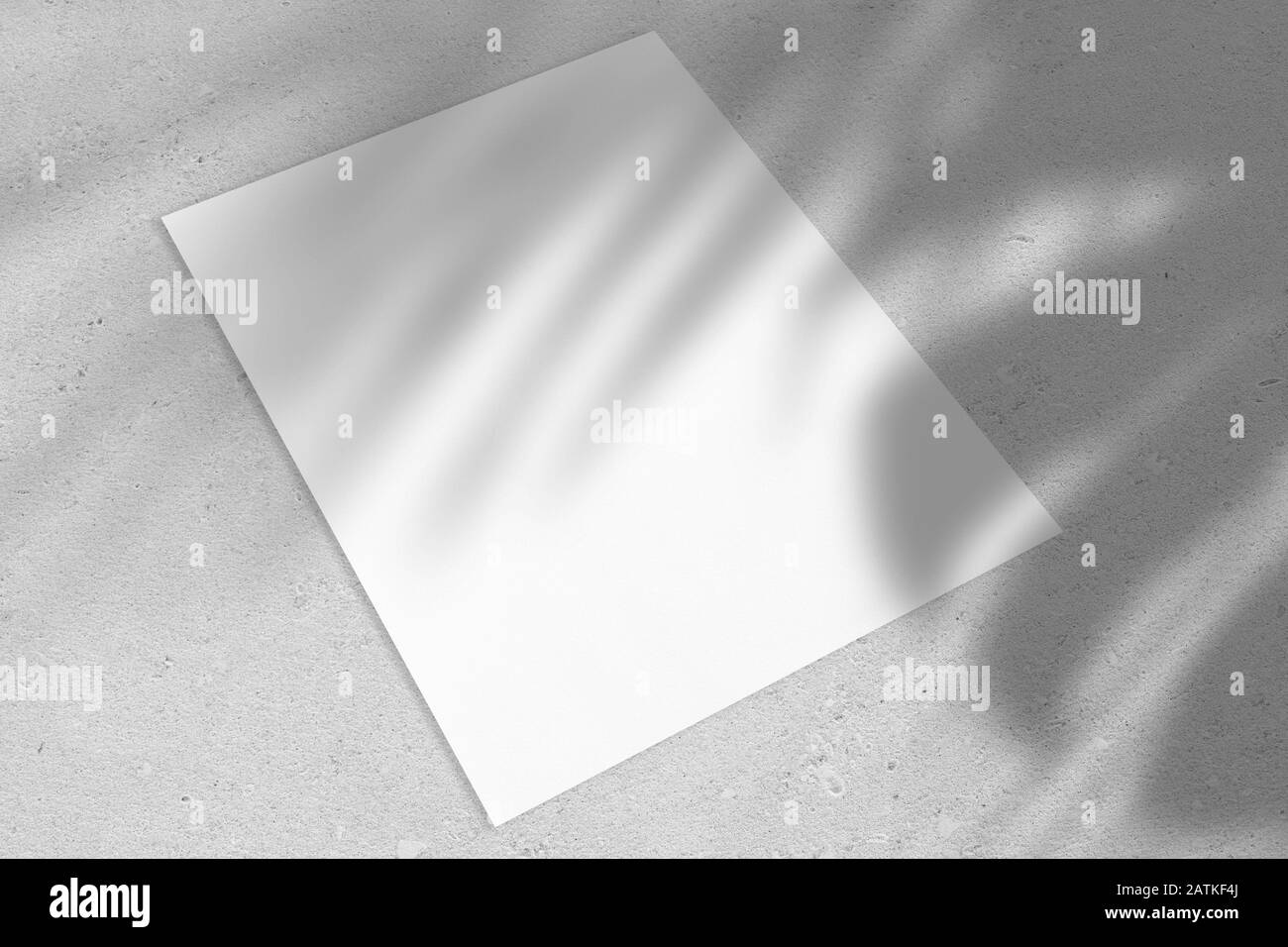 Poster rettangolare verticale vuoto o cartoncino mockup con foglie di palma ombre Foto Stock