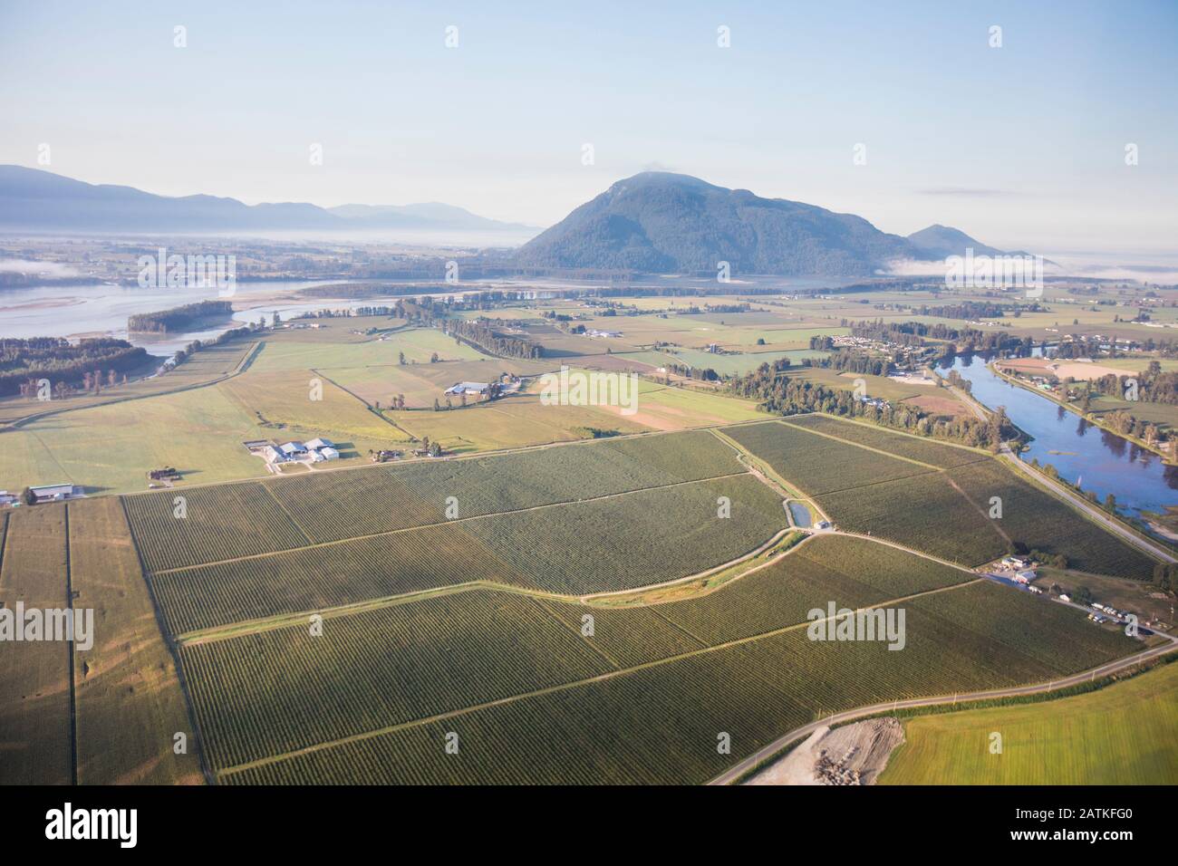 Veduta aerea dei campi agricoli a DeRoche,Mission, B.C. Foto Stock