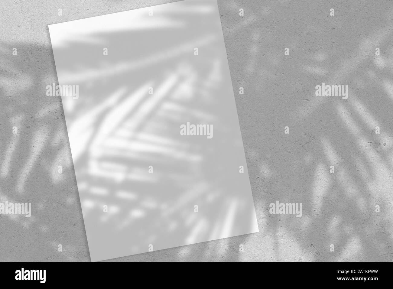 Poster rettangolare verticale vuoto o cartoncino mockup con foglie di palma ombre Foto Stock