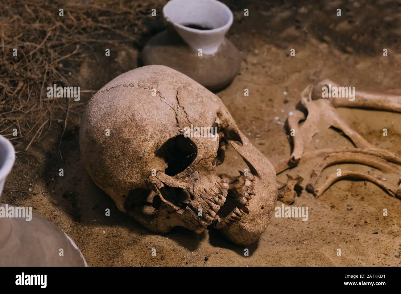 Sito archeologico, un antico cranio umano in antica tomba Foto Stock